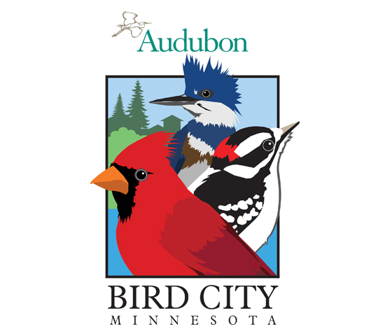 web_SOAR_BirdCity